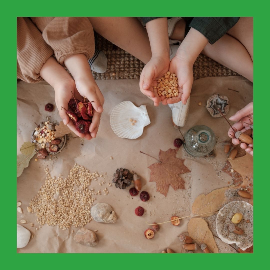 A photo of different leaves, seeds, and rocks arranged on a brown paper surface, with children's hands interacting with the different natural items.